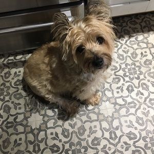 Meet your Posher, Karen